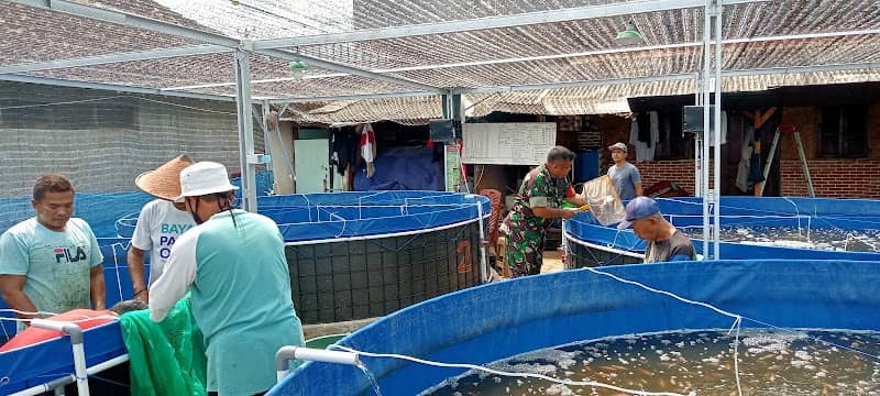 Budidaya ikan Nila bioflok dan wisata alam - Image 1