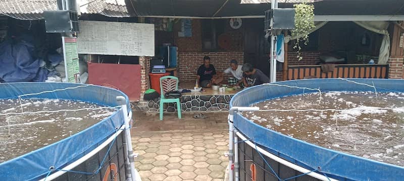 Budidaya ikan Nila bioflok dan wisata alam - Image 2