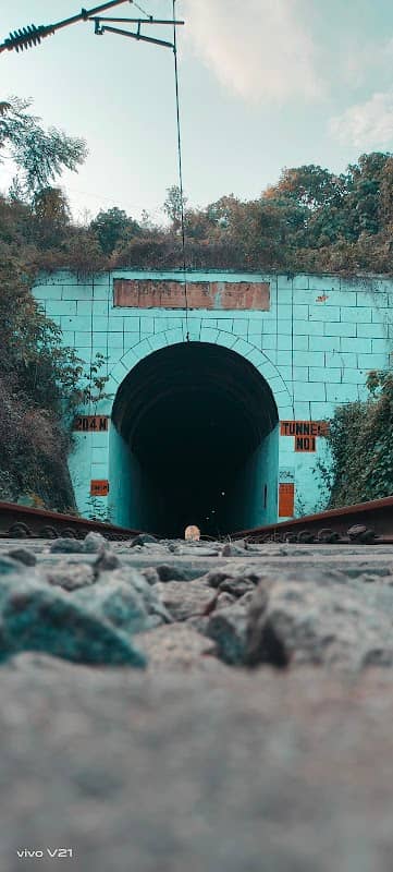 Thannivila Railway Tunnel - Image 1