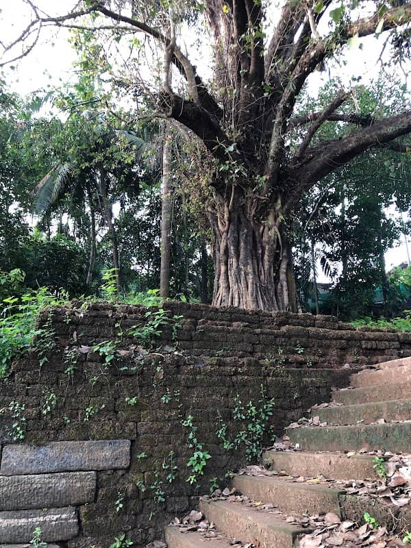 Parakadavu Kovilakathumuri - Image 3