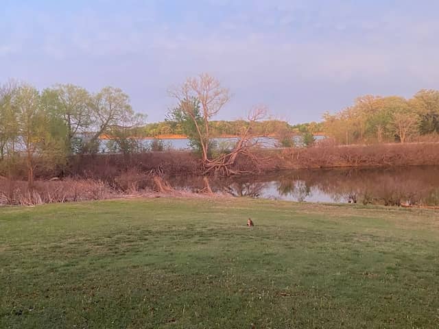 North Mill Field Pond - Image 1
