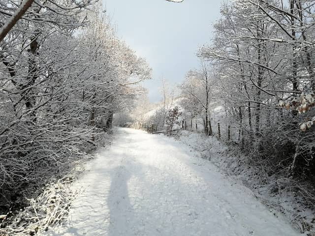 Rhymney River Path - Image 1