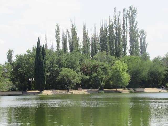 Bench with lake view / Пейка с гледка към езерото - Image 1