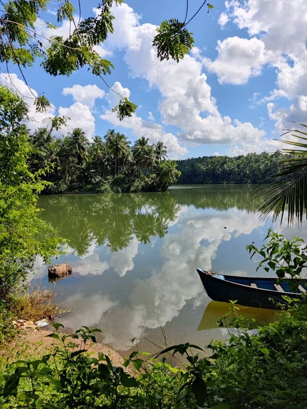 THURTHI ISLAND - Image 2