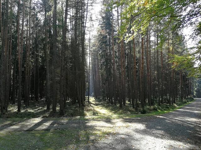 Vrch Kokot - Image 1