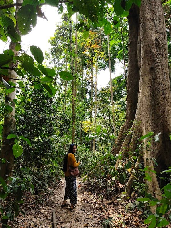 Walking Path To Elephant Beach - Image 3