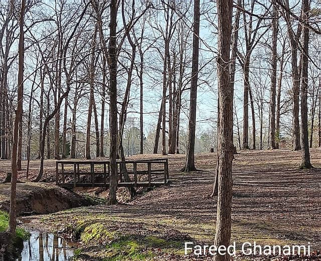 W.R. Brown Trail - Image 1