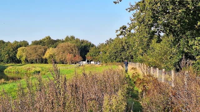Aussichtspunkt Wacholderhain - Image 2