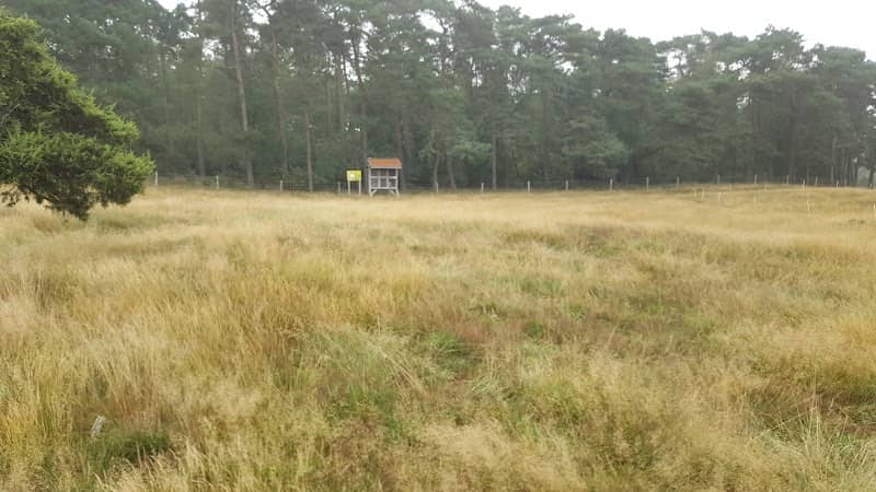 Aussichtspunkt Wacholderhain - Image 1