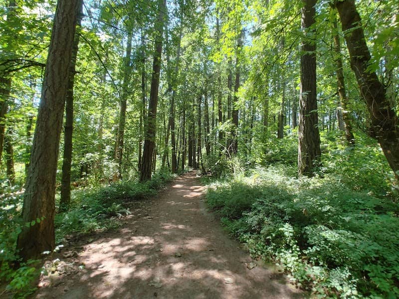 Bryant Woods Nature Park - Image 1