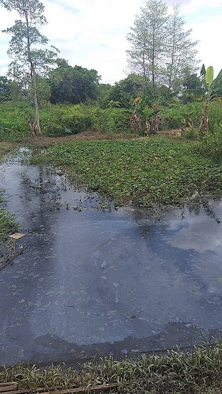 Kolam Mancing Ikan Liar - Image 1