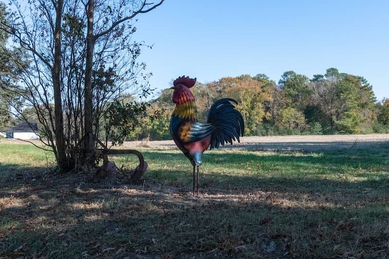 Roadside Rooster - Image 1