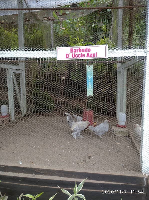 Parque Real de Aves Exoticas(aviario) - Image 3