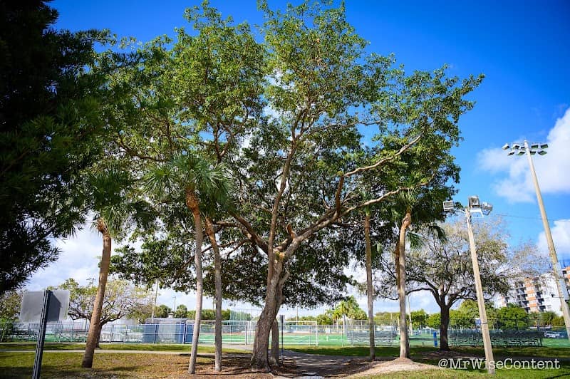 All Wars Memorial Park - Image 1