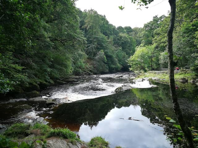Roe Valley Country Park - Image 1