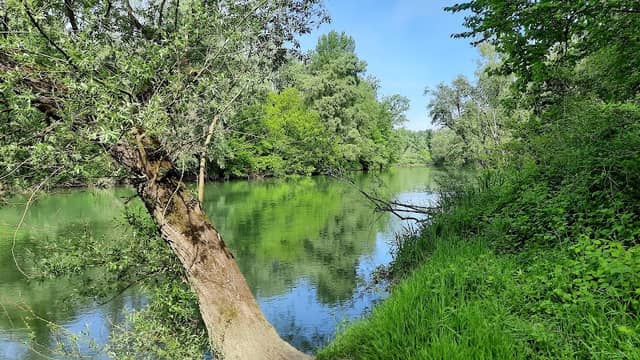 Dráva Gát - Image 1