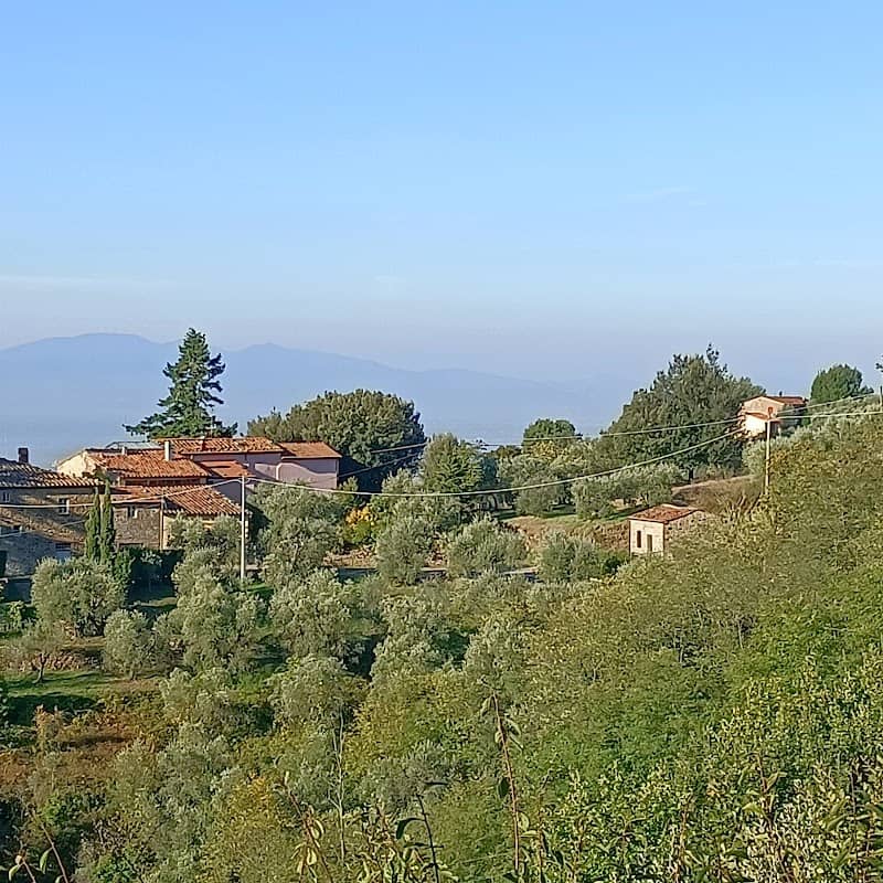 San Baronto - Image 1