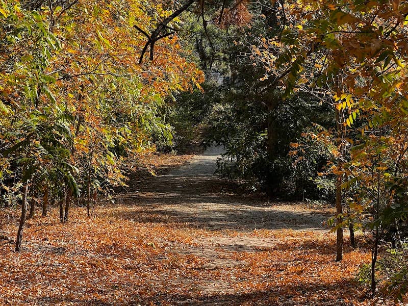 River Banks Orchard Park Loop - Image 1