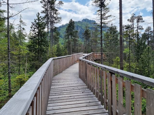 Spirkenhochmoor Schollaschopf - Image 1