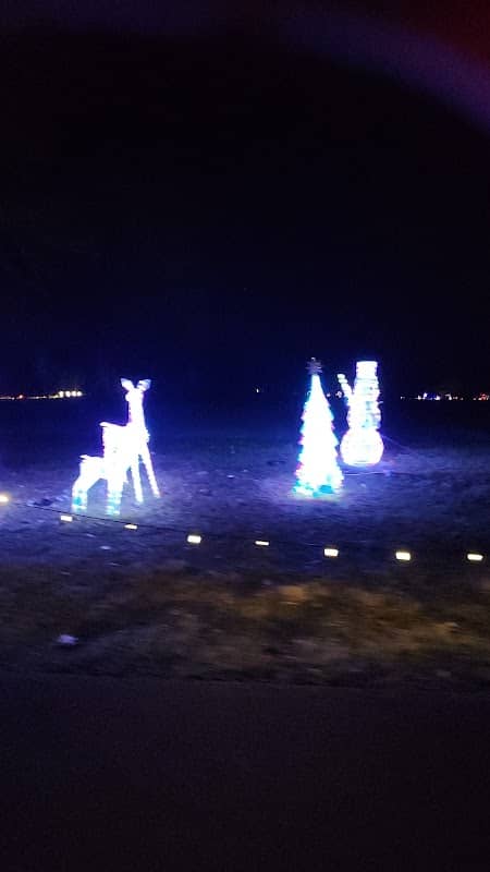 Christmas Lights of Bondville - Image 2