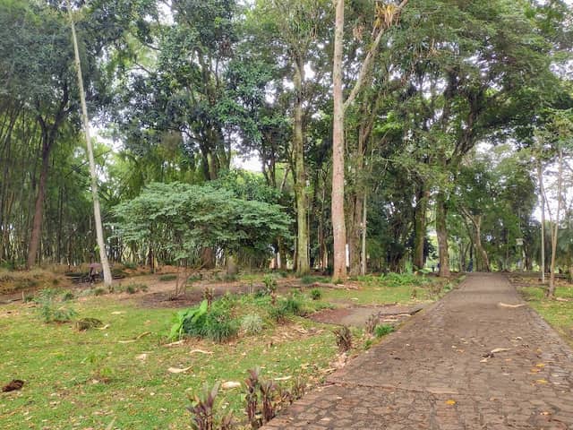 Parque El Bosque - Image 1