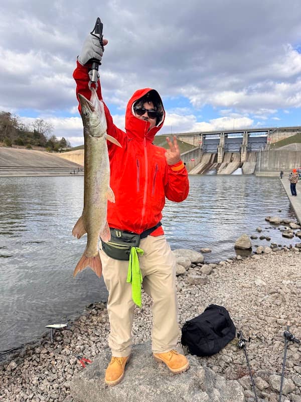 Shelbyville dam - Image 1