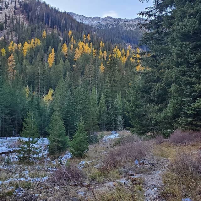 Eagle Cap Wilderness - Image 1