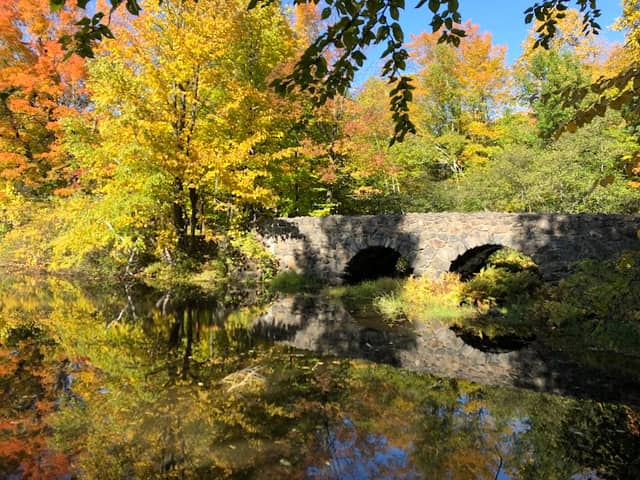 Parc national du Mont-Saint-Bruno - Image 1