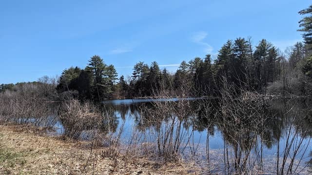 Winni River Trail - Image 1