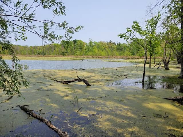 Rainbow Lake - Image 1