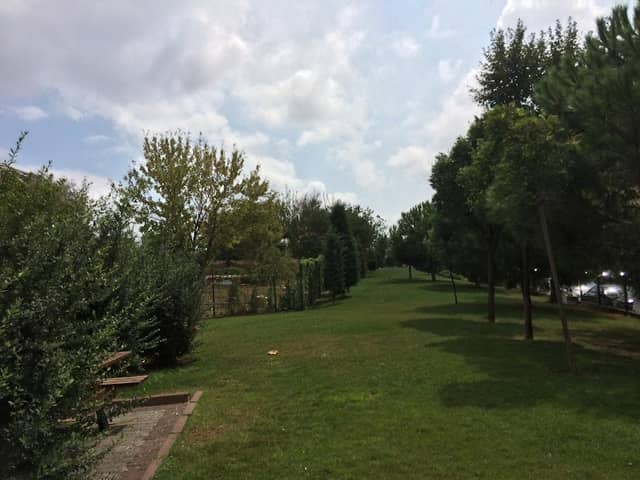 Park - Image 3