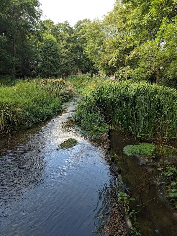 Meades Water Gardens - Image 1