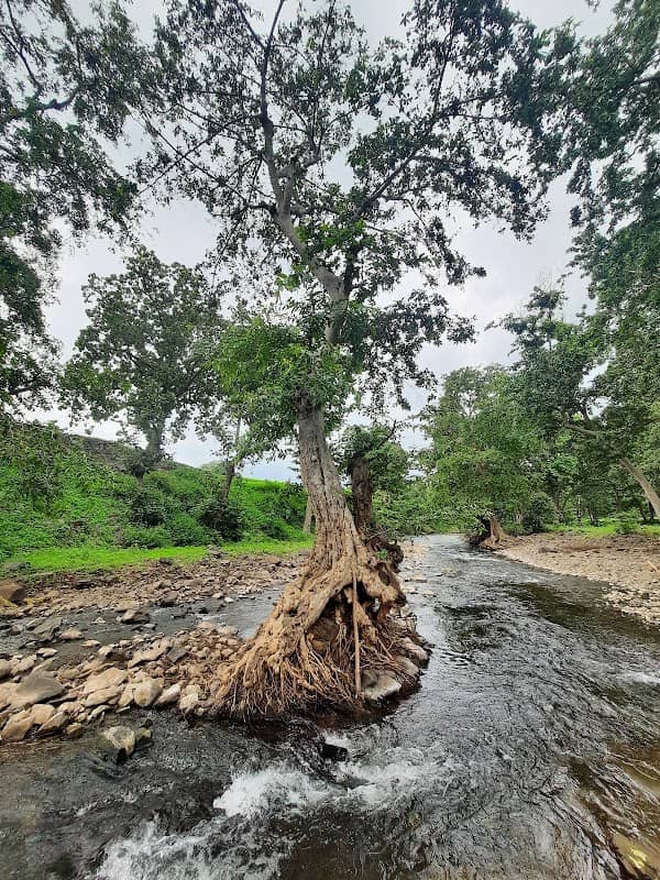 Bihali Picnic Spot - Image 2