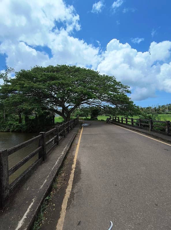 Dampa Road old Bridge - Image 1