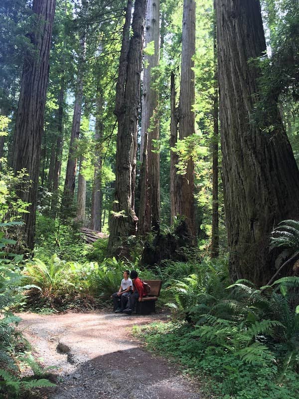 Leiffer Loop Trail - Image 1