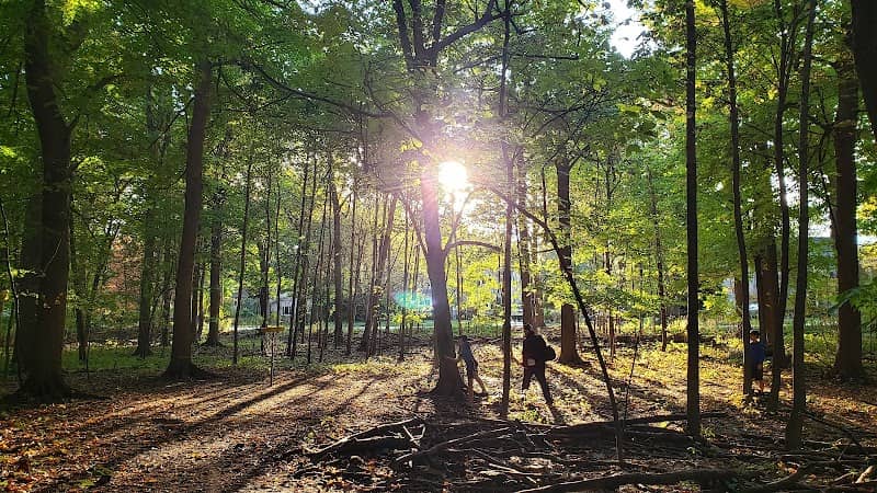 Pine Woods Park - Image 2