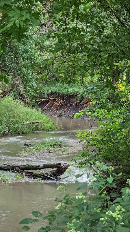 South loop trail - Image 1