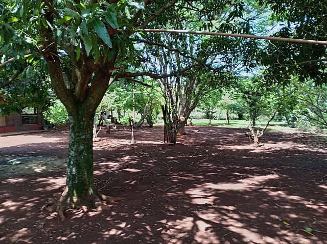 Playa shagua - Image 1