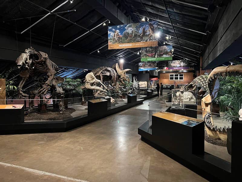 Houston Museum of Natural Science at Sugar Land - Image 3