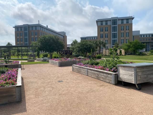 The Gardens at Texas A&M University - Image 2