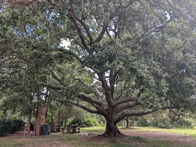 William S. "Bill" Smith Park - Image 2