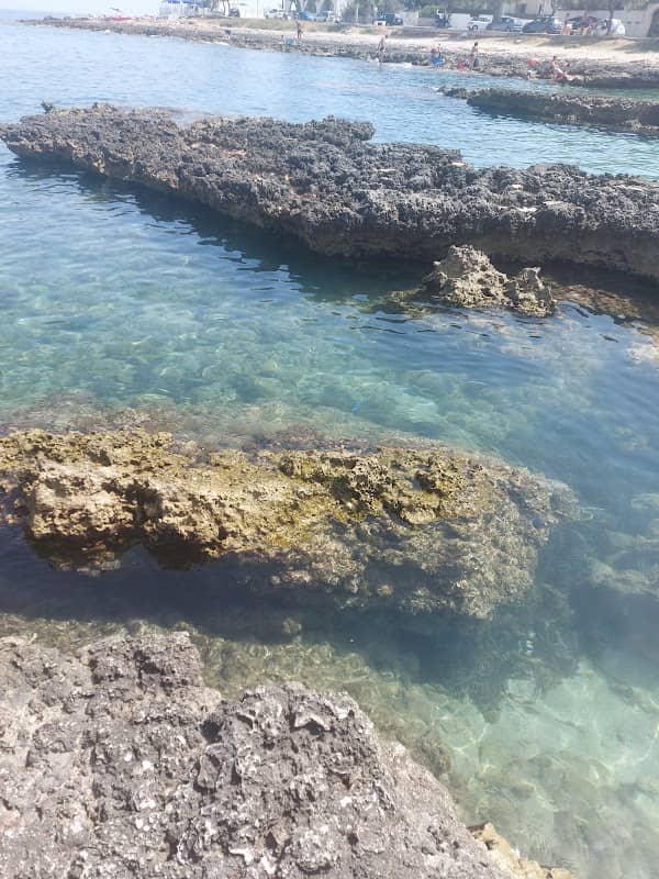 Scoglio del Cavallo - Image 1