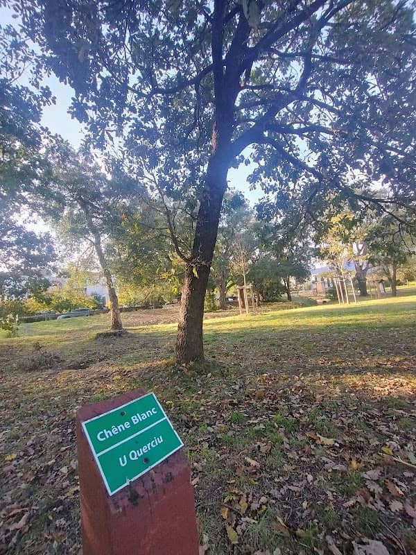 Parc Luccianella - Image 1