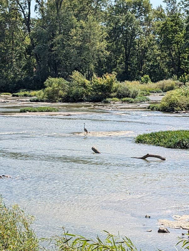 Providence Dam - Image 1