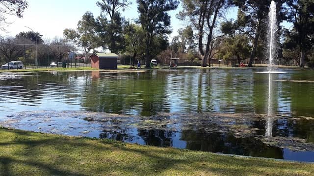 Kings Park Rose Garden - Image 1