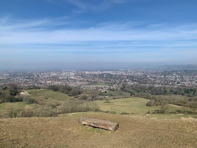Leckhampton Hill - Image 1