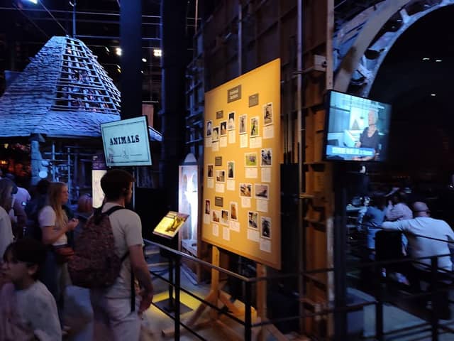 Hagrid's Hut - Image 2