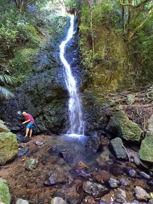 Percy Scenic Reserve - Image 1