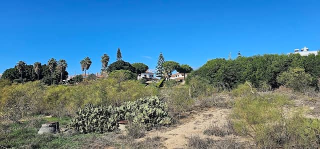 Passadiços da Praia da Lota - Image 3