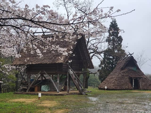 Yubunezakakodainooka Park - Image 1